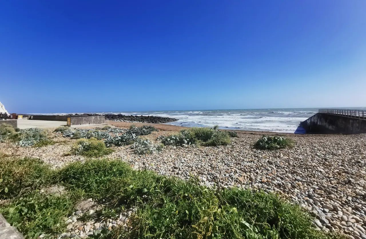 Saltdean beach with waves breaking on the shingle, a concrete sea wall and white chalk cliffs behind, and houses on the hill above