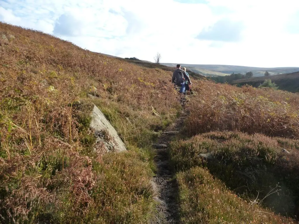 Two walkers on a narrow path through autumn heather and bracken on the Esk Valley Way in the North York Moors