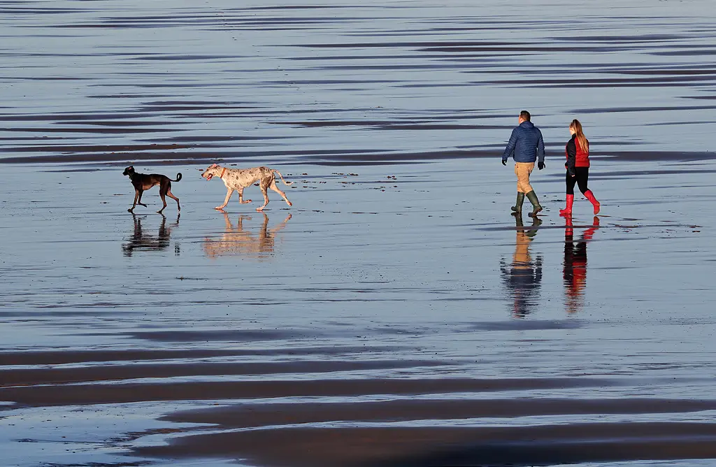 Two long-legged dogs trotting ahead of a couple in wellies, all reflected in the wet sand of a north-east beach at low tide