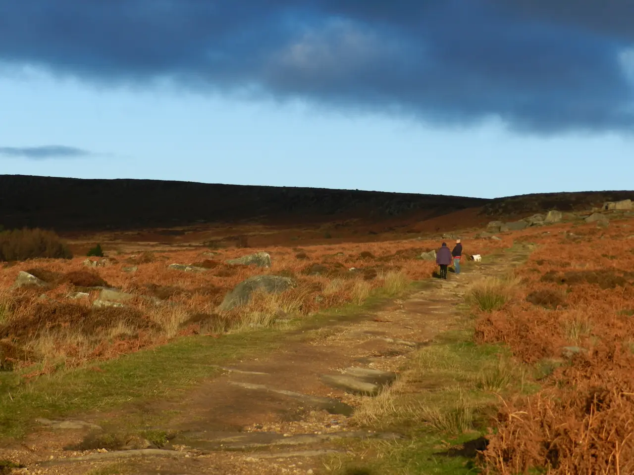 Two walkers and a small dog on a track across autumn-orange moorland under a dark band of cloud