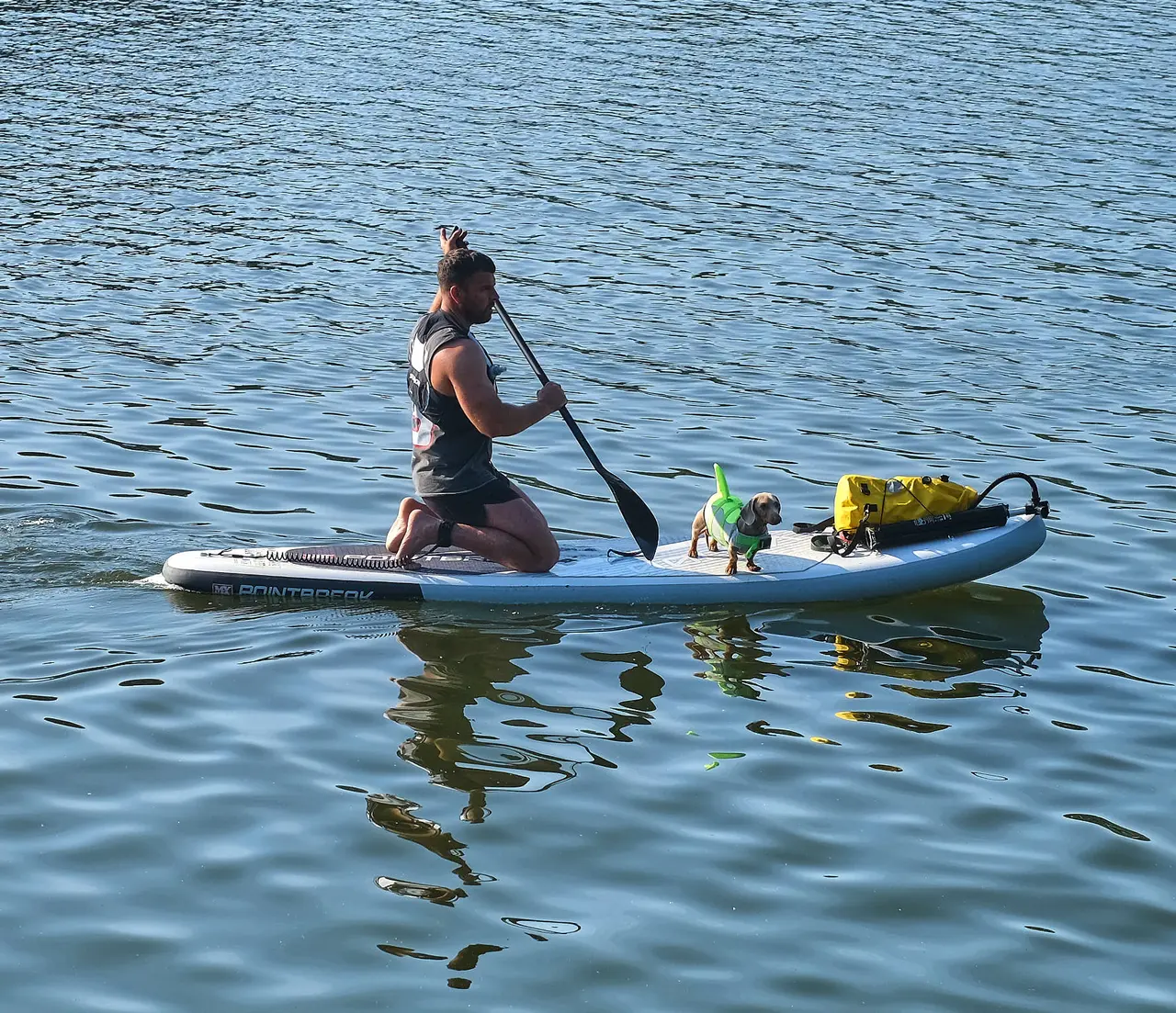 A man kneeling on a paddleboard with a small dog in a green life jacket and a dry bag on the front