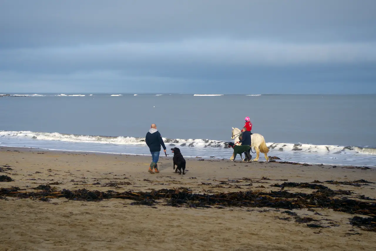 A man walking a black dog on the seaweed-strewn sand at Runswick Bay, beside a child on a white pony at the water's edge