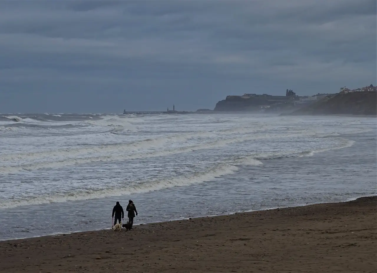 Two people walking two small dogs along the sand at Sandsend, with Whitby's East Cliff and the abbey on the skyline across the bay