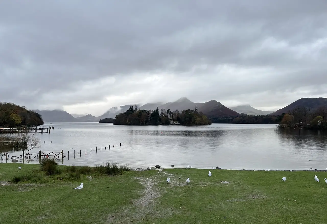 The grassy lakeshore at Derwent Water with Catbells and the fells beyond a wooded island, under a grey sky