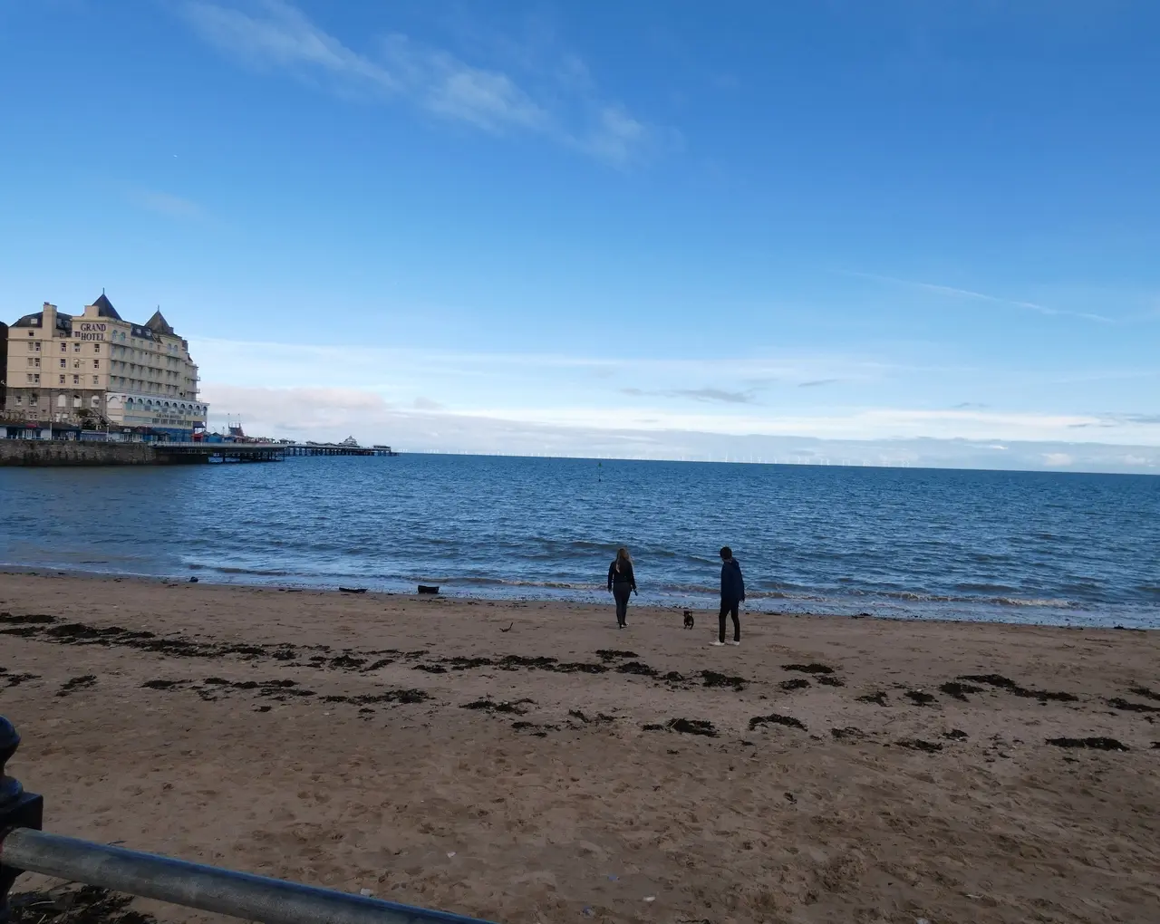Two people walking a small dog on the North Shore at low tide, with the Grand Hotel and the pier under a clear blue sky