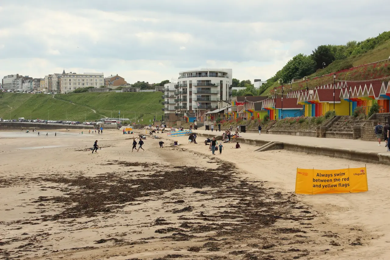 The North Bay sands at low tide with seaweed on the beach, a row of brightly painted beach chalets along the promenade and the grassy cliff behind