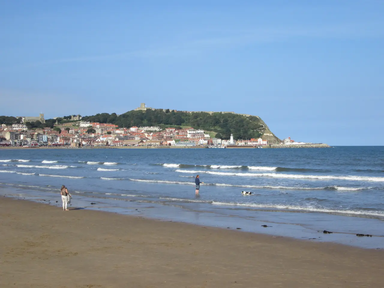 The South Bay beach on a sunny day, with people paddling in the surf and the harbour, lighthouse and castle headland across the bay