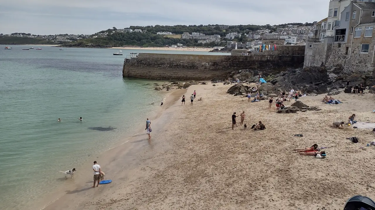 A black and white dog paddling at the water's edge on Bamaluz Beach, with people on the sand, the harbour wall and the town across the bay behind