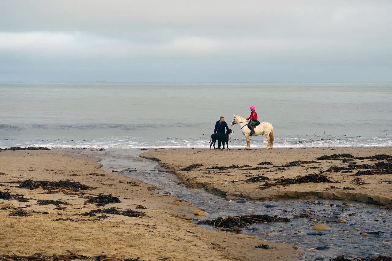 A man with a large black dog meeting a rider on a white pony at the water's edge on Runswick Bay beach, with seaweed and a stream across the sand