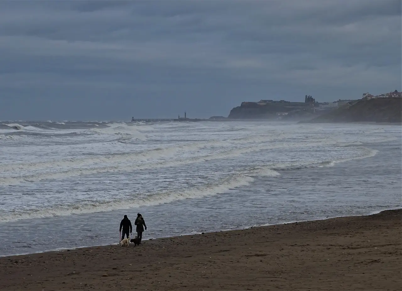 Two people walking their dogs along Sandsend beach on a grey, blustery day, with breakers rolling in and Whitby Abbey on the far headland